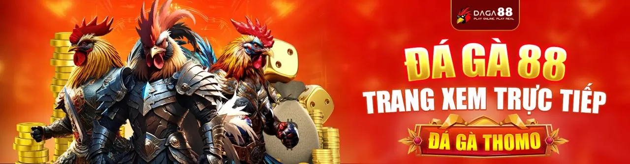 Phân tích trận đấu bóng đá quan trọng, với các biểu đồ và số liệu thống kê từ TP88 Casino